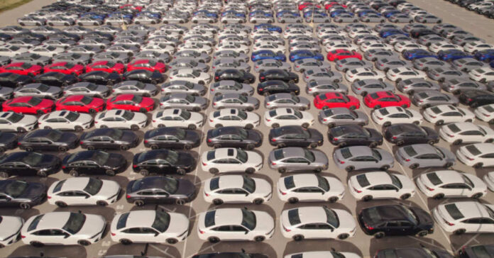 Golden Shrimp / shutterstock.com